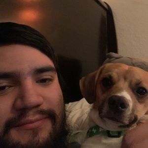 Meet your Posher, Jose